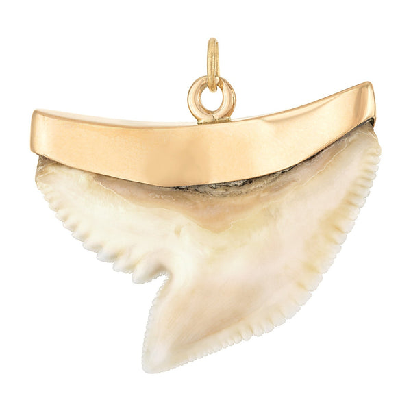 Vintage Shark Tooth 9K Gold Charm
