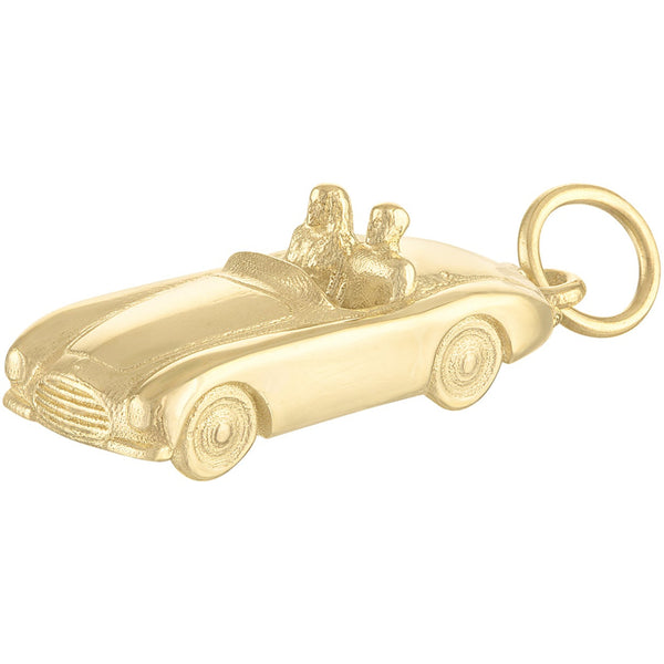 Convertible 14K Gold Charm