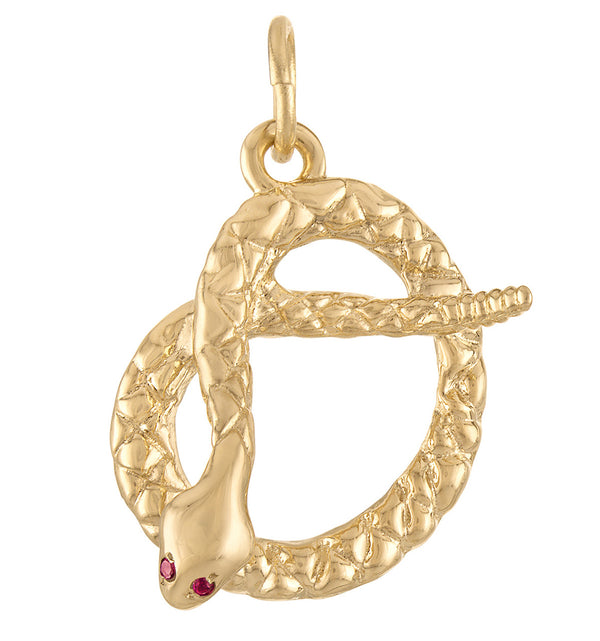 Snake with Ruby Eyes 14K Gold Charm