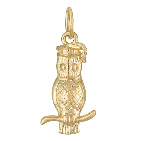 Graduate Wise Owl 14K Gold Charm